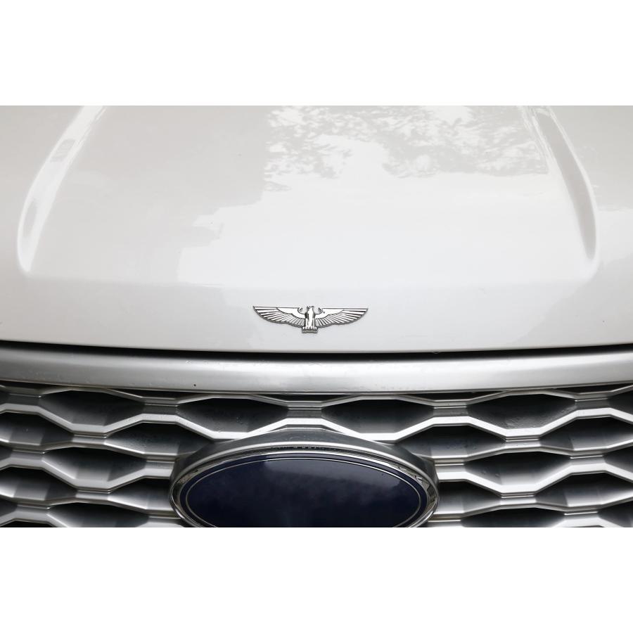 【並行輸入品】Eagle Auto Emblem, Eagle Wings Metal Sticker, Flying Eagle Zincの画像