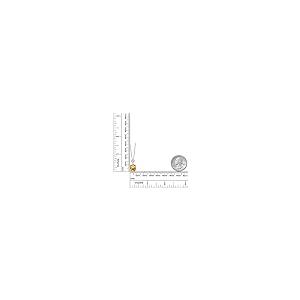 【並行輸入品】[Gem Stone King] 3.47カラット 天然 シトリン ネックレス レディース モアサナイト シルバー925 11月の画像