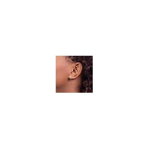 【並行輸入品】Avariah 14k Yellow Gold CZ Palm Tree Post Earrings   8.6mmの画像