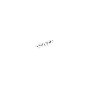 【並行輸入品】Nawpheki 2pcs Sport Emblem Car Side Rear Front Hood Trunk Door Bの画像