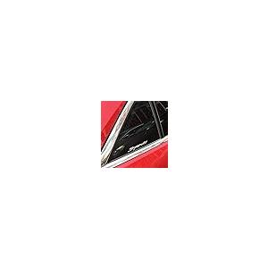 【並行輸入品】Nawpheki 2pcs Sport Emblem Car Side Rear Front Hood Trunk Door Bの画像