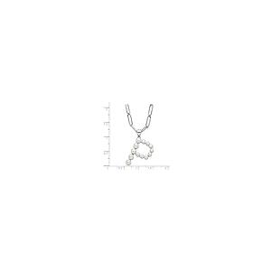 【並行輸入品】925スターリングシルバー ロジウムメッキ 3 5.5mm 淡水養殖真珠 文字名 パーソナライズ モノグラム イニシャル P ネッ_5