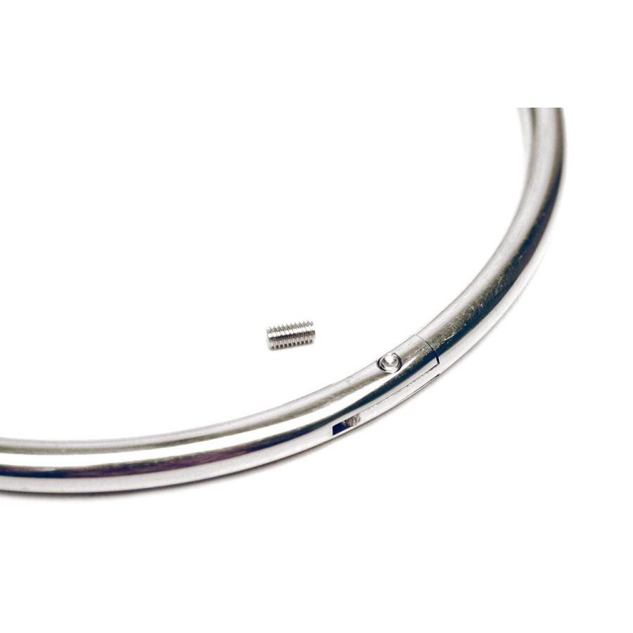 【並行輸入品】18" Eternity Polished Stainless Steel Locking Choker， Day Collar_9