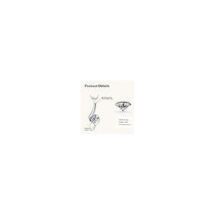 【並行輸入品】PROSTORY 1CT インフィニティ モアッサナイト ネックレス 925スターリングシルバー チェーンペンダント Dカラー V_5