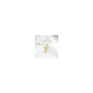 【並行輸入品】DOVRAN フェニックスネックレス レディース 14K イエローゴールド ライジングフェニックスペンダントネックレス ジュエリーの画像