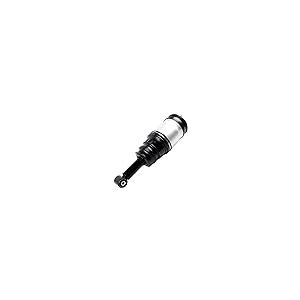 【並行輸入品】BOERLKY Rear Air Suspension Strut Compatible with 2005 2009 Landの画像