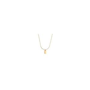 【並行輸入品】Aihpos 10K Gold Personalize Dog Tag Necklace For Women Girls Solの画像