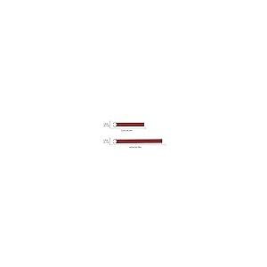 【並行輸入品】ramuel Compatible with Carbon Fiber Car Hood Trunk Lid Stripes Sの画像