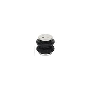 【並行輸入品】RKYJLVG 2pcs Air Suspension Shock Absorber Strut and Spring Set_5
