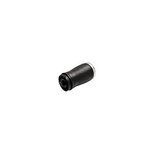 【並行輸入品】JIJIGUA Air Suspension Shock Absorber Strut and Spring Rear Left_5
