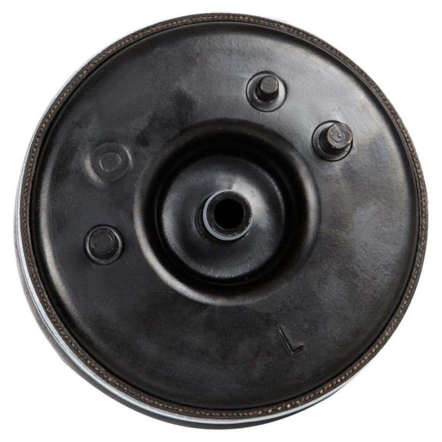 【並行輸入品】JIJIGUA Air Suspension Shock Absorber Strut and Spring Rear Left_9