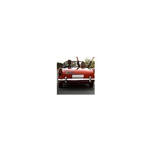 【並行輸入品】Dog Decals for Vehicles Acrylic Car Decals with Strong Adhesiveの画像