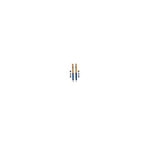 【並行輸入品】 TrendsAuto 4600 Series Pair of Monotube Rear Shocks with Air Levの画像