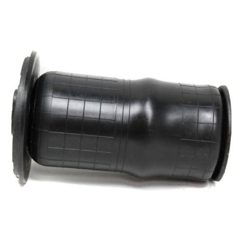 【並行輸入品】 fastgallop Air Ride Suspension Spring Strut Shock Rear for Rover