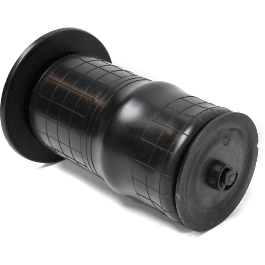 【並行輸入品】 fastgallop Air Ride Suspension Spring Strut Shock Rear for Rover