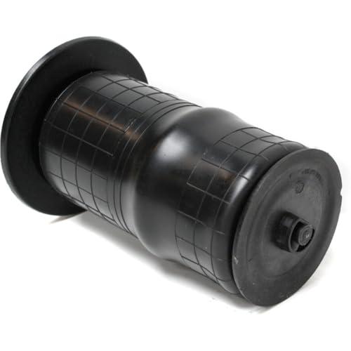 【並行輸入品】 fastgallop Air Ride Suspension Spring Strut Shock Rear for Rover