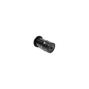 【並行輸入品】 fastgallop Air Ride Suspension Spring Strut Shock Rear for Rover