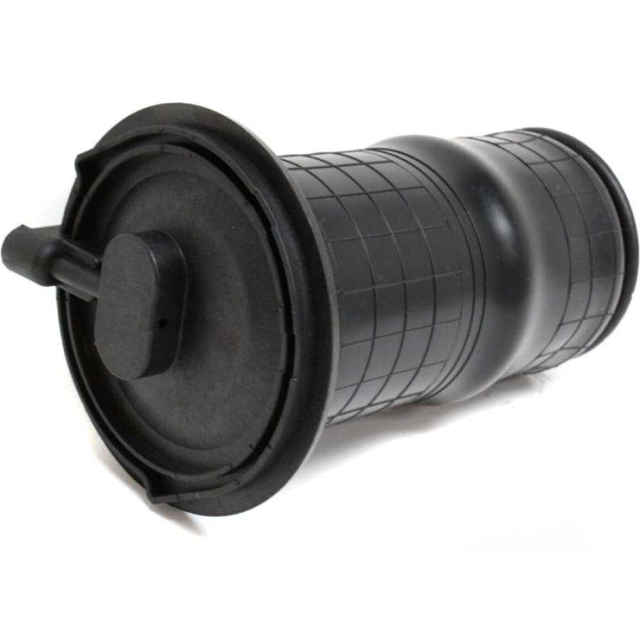 【並行輸入品】 fastgallop Air Ride Suspension Spring Strut Shock Rear for Rover