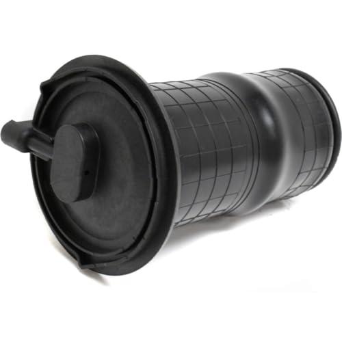 【並行輸入品】 fastgallop Air Ride Suspension Spring Strut Shock Rear for Rover