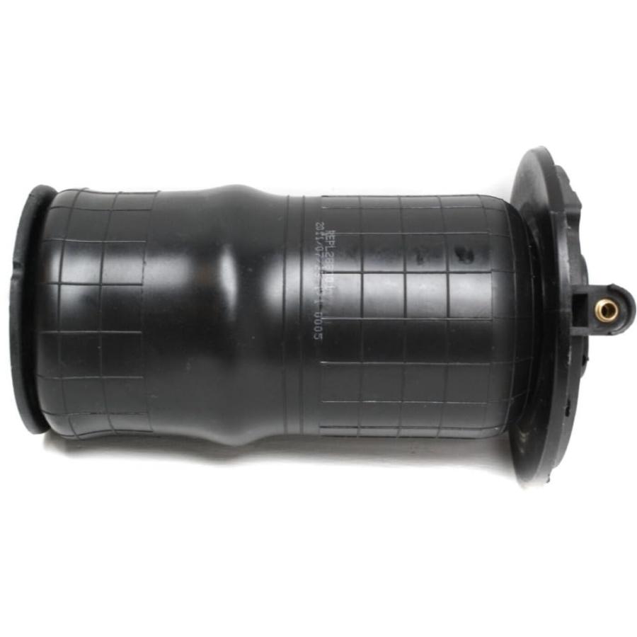 【並行輸入品】 fastgallop Air Ride Suspension Spring Strut Shock Rear for Rover