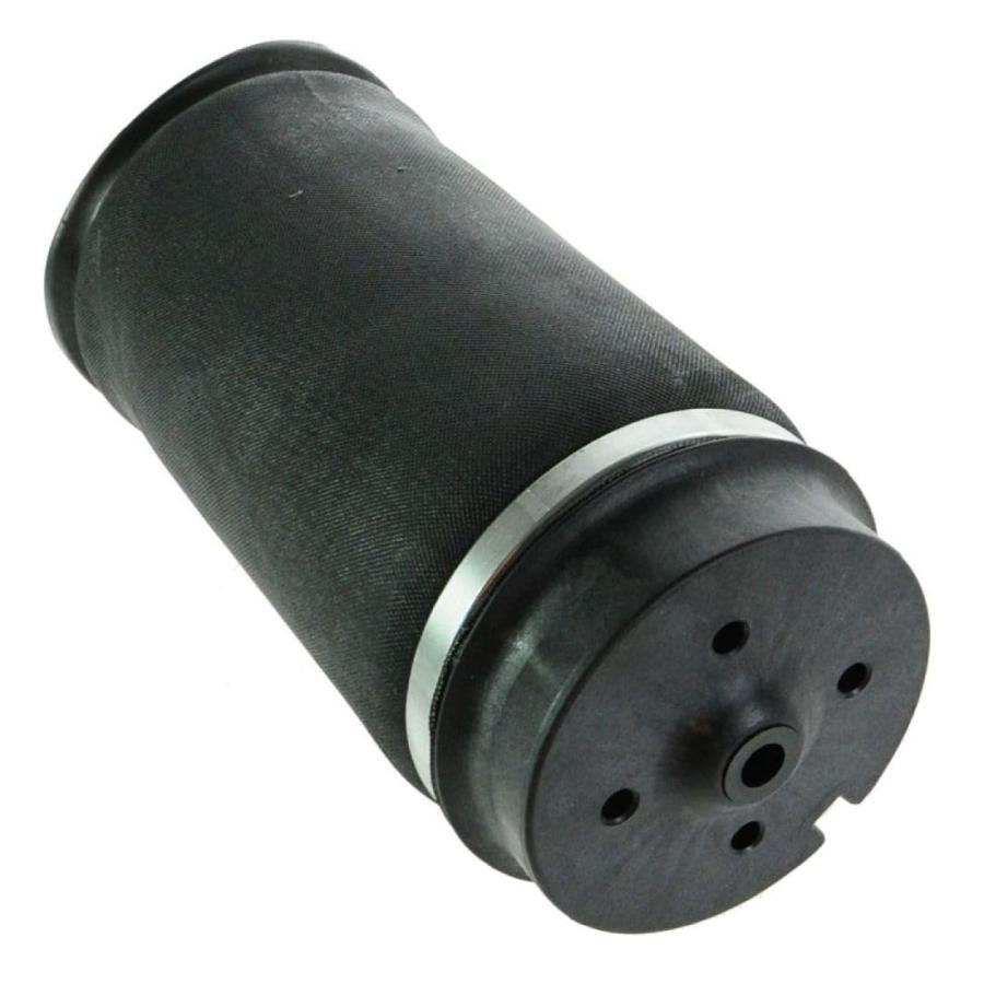 【並行輸入品】 ERSGRP 2pcs Air Suspension Shock Absorber Strut and Spring Set A