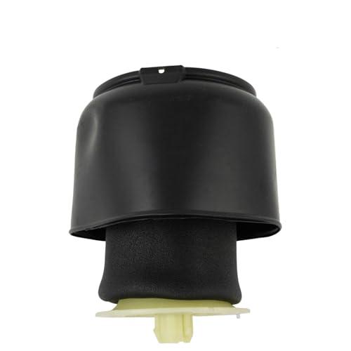 【並行輸入品】 VioziteGam Air Suspension Shock Absorber Strut and Spring Rear L_1