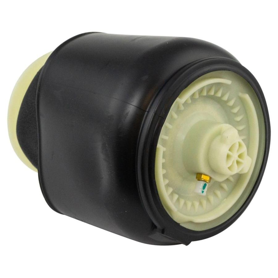 【並行輸入品】 VioziteGam Air Suspension Shock Absorber Strut and Spring Rear L_3