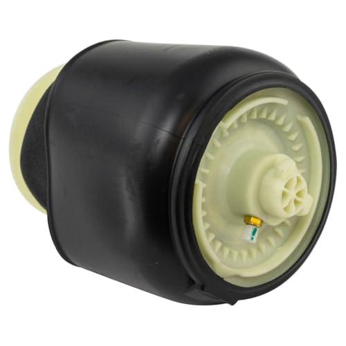 【並行輸入品】 VioziteGam Air Suspension Shock Absorber Strut and Spring Rear L_4