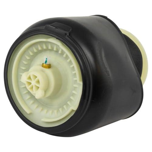 【並行輸入品】 VioziteGam Air Suspension Shock Absorber Strut and Spring Rear L_7