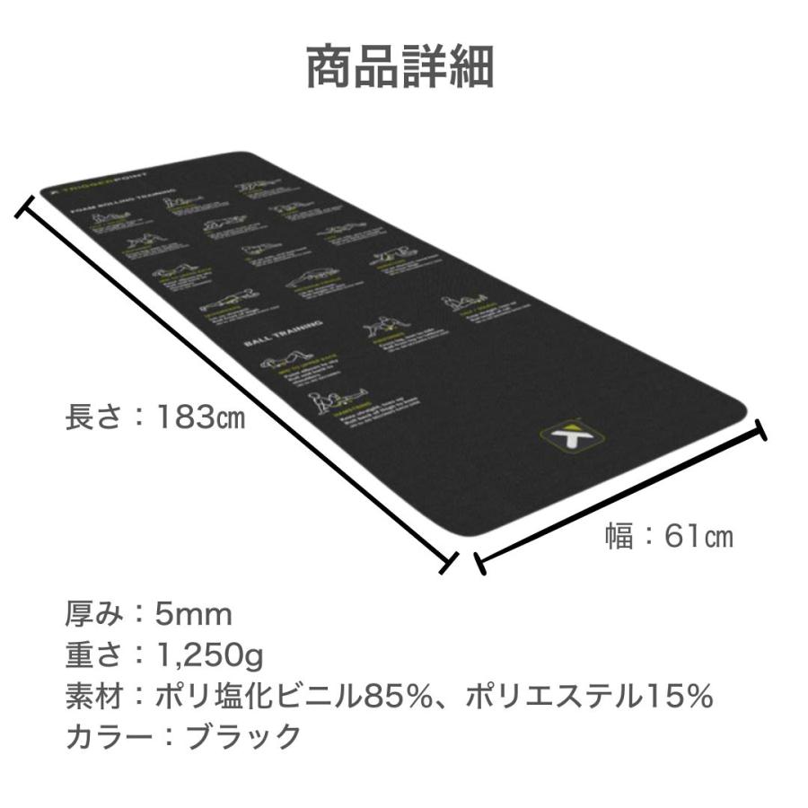 TRIGGER POINT（トリガーポイント） 日本正規品 フォームローラー 筋膜