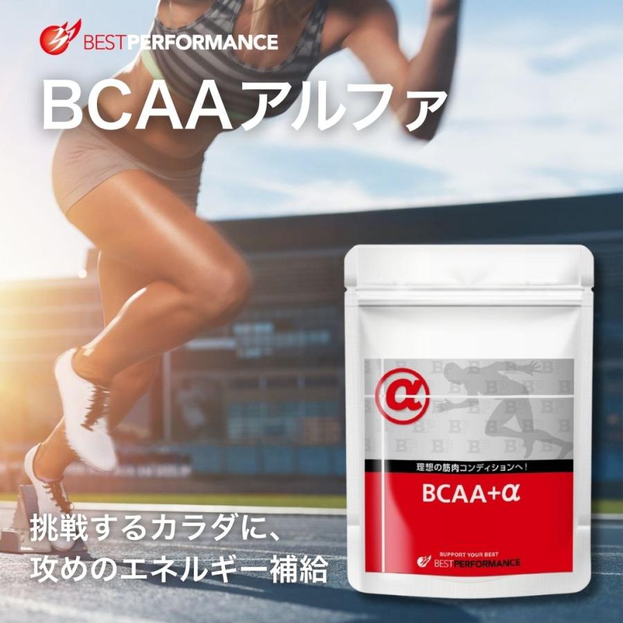 BCAA 必須アミノ酸 アルギニン ビタミンB群 ニンニクエキス タブレット