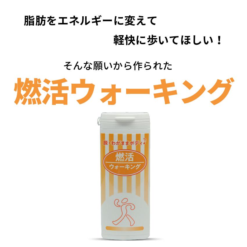 ダイエットサプリ カルニチン コエンザイムQ10 アルファリポ酸