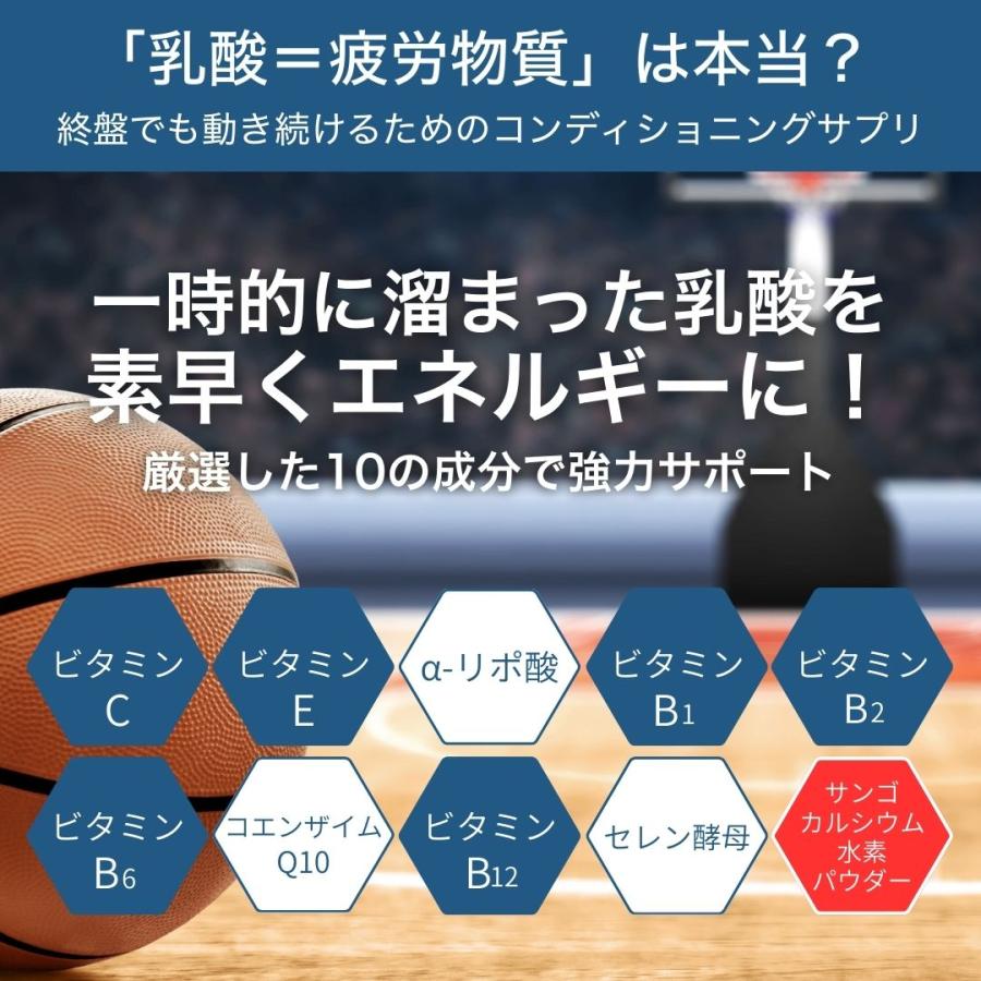 コエンザイムQ10 αリポ酸 サプリ 運動 スポーツ コンディショニング