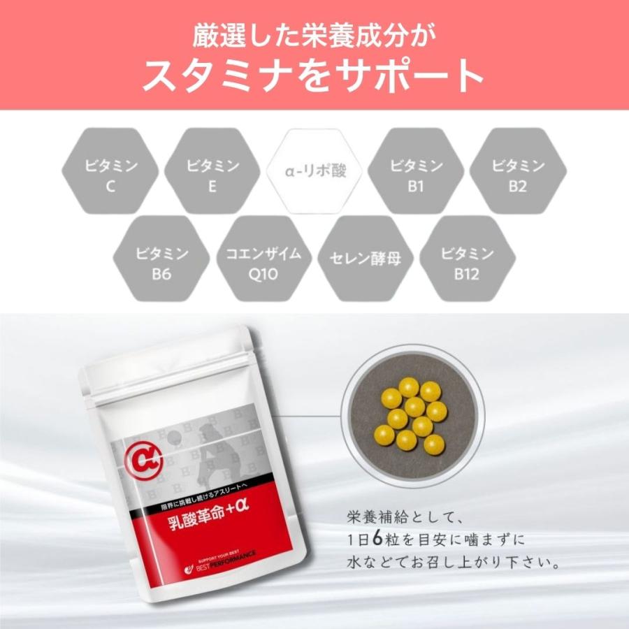 コエンザイムQ10 アルファリポ酸 ビタミンB群 サプリメント タブレット