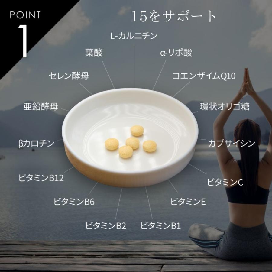 ダイエットサプリ カルニチン コエンザイムQ10 アルファリポ酸 ビタミンB群 タブレット サプリメント 日本製 ベストパフォーマンス カルニチン 180粒 3袋セットの画像
