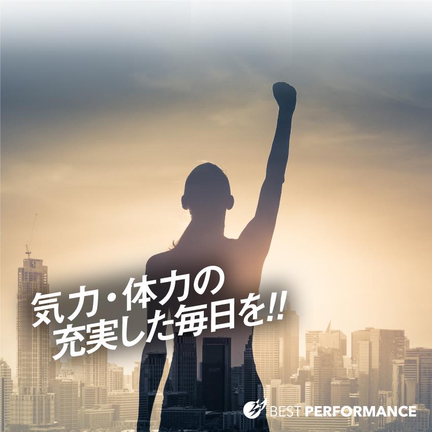 Dリボース カルニチン タブレット サプリメント 日本製 ベストパフォーマンス Dリボースアルファ 120粒 3袋セットの画像