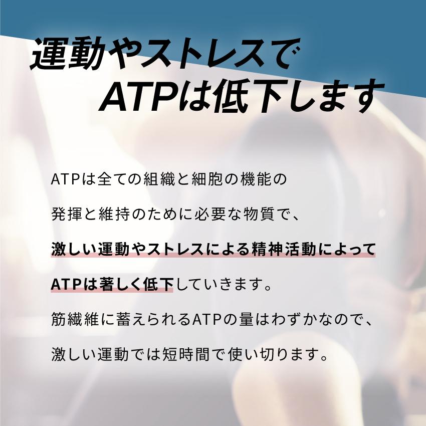 Dリボース カルニチン タブレット サプリメント 日本製 ベストパフォーマンス Dリボースアルファ 120粒 3袋セットの画像