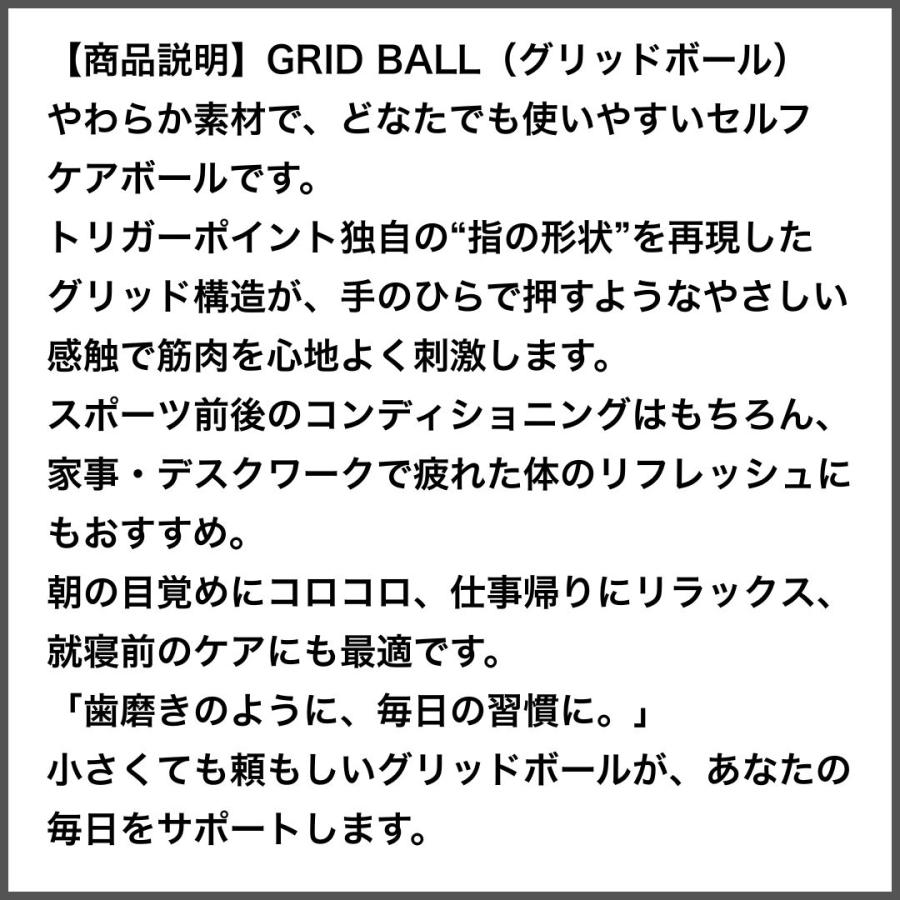 トリガーポイントマニュアル4点 新徒手検査法以外のセット　美品　値上げ予定 トリガーポイント・マニュアルIII IV | ジャネット・トラベル