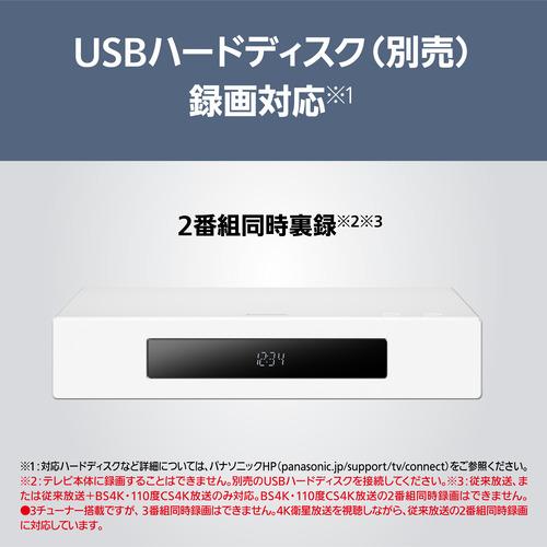 【無料長期間言いはなつ】パナソニック TH-55LW2L 55V型 4K有機ELテレビ受像機 VIERA ウォールフィットテレビ BS・CS 4Kラジオ受信機内蔵