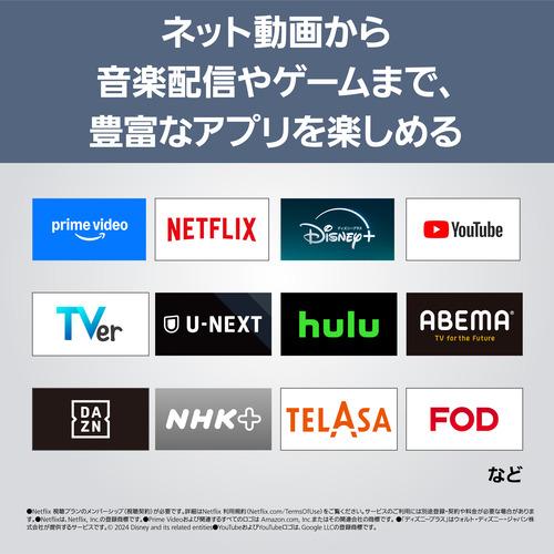 【無料長期間言いはなつ】パナソニック TH-55LW2L 55V型 4K有機ELテレビ受像機 VIERA ウォールフィットテレビ BS・CS 4Kラジオ受信機内蔵