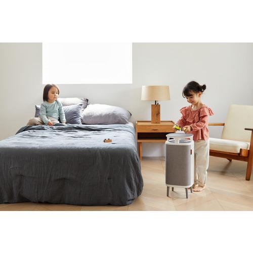 ブルーエア 5240i 空気清浄機 DustMagnet 18畳 グレー : ベストテック