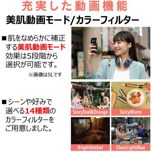 早い者勝ち訳あり！ キヤノン PSV10BK ムービー PowerShot 【BCD6680956777】(23381円)