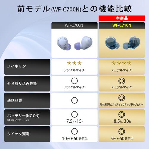 ソニー ワイヤレス イヤホン 左右分離 ノイズキャンセリング IPX4 最大