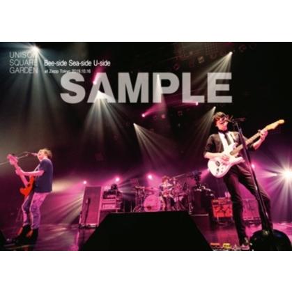 Dvd Unison Square Garden Bee Side Sea Side U Side At Zepp Tokyo 19 10 16 ベストテック ヤフー店 通販 Yahoo ショッピング