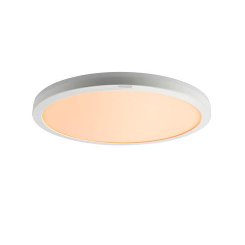 東芝 NLEH08025C-LC LED照明 ルミオ 8畳 調光 調色 : ベストテック