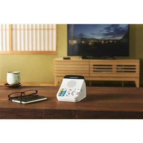 オーディオテクニカ スピーカー AT-SP450TV TV用赤外線