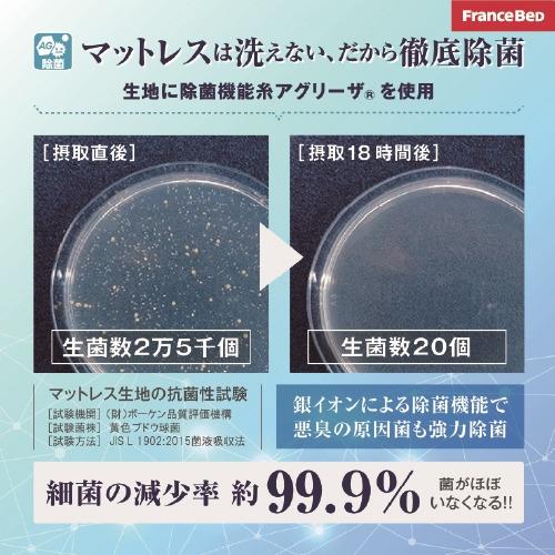 [ワイドダブルロング] フランスベッド ライフトリートメント マットレス LTレガシーHマットレスWDL 厚さ34cmの画像
