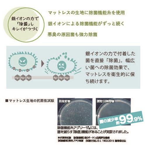 フランスベッド クイーン マットレスLT-5500Y PWMON きれいがつづく 除菌マットレス ハード 日本製