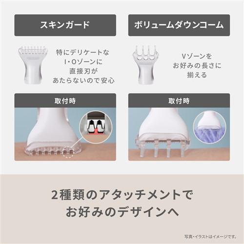 法螺貝 25cm 890g オオナルトボラ ホラ貝