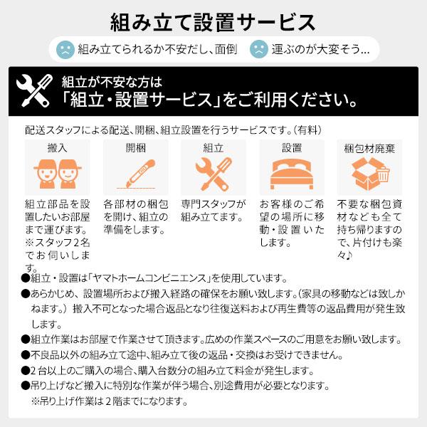 組立設置サービス付き〕 収納 ベッド 薄型 宮付き 通常丈 シングル